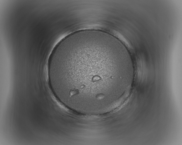 X0000112951079200908311504