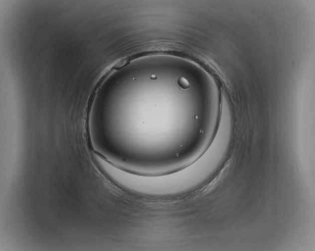 X0000112951081200908311504