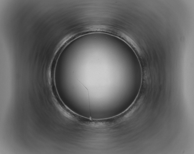 X0000112951082200908311504