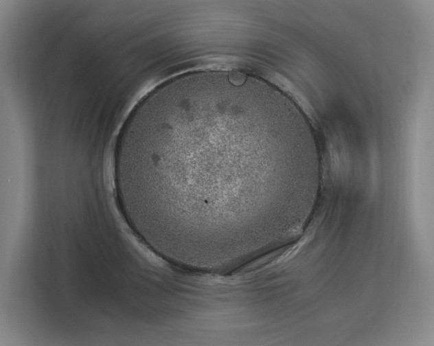 X0000112951083200908311504