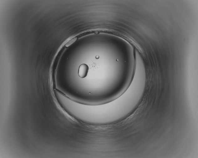 X0000112951084200908311504