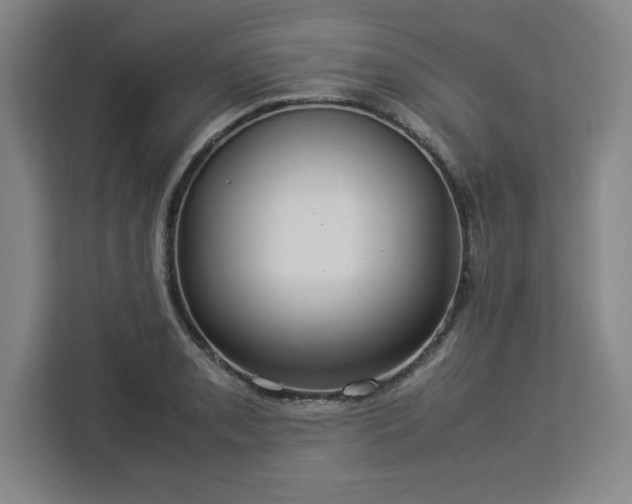 X0000112951085200908311504