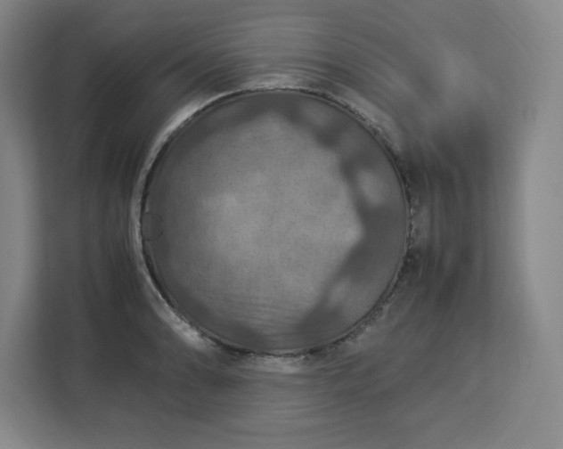 X0000112951086200908311504