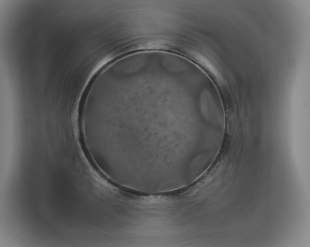 X0000112951087200908311504