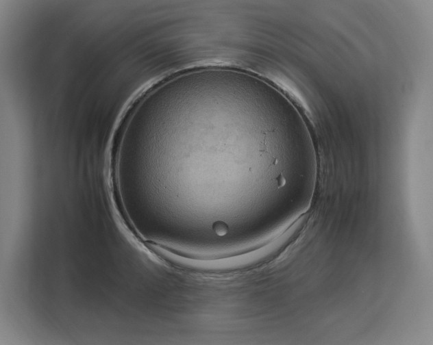 X0000112951088200908311504