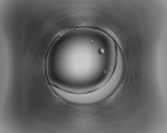 X0000112951089200908311504