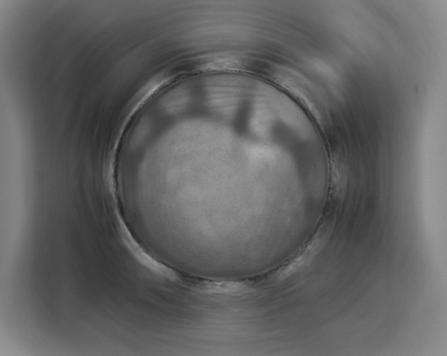 X0000112951090200908311504