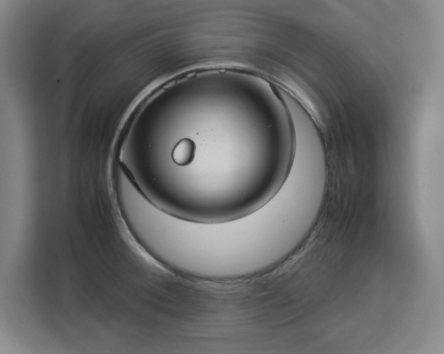 X0000112951092200908311504