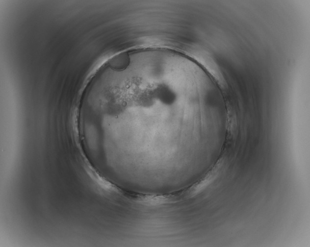 X0000112951094200908311504