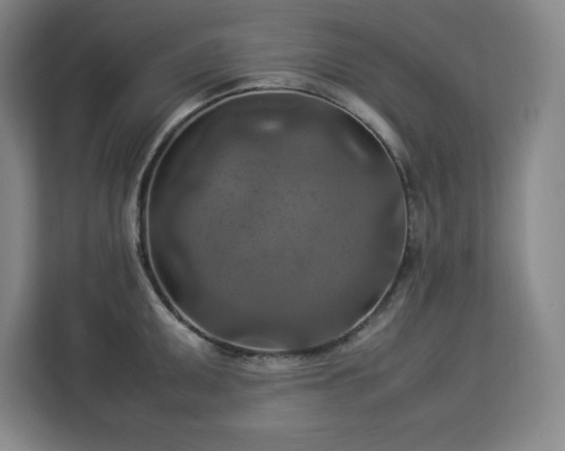 X0000112951095200908311504