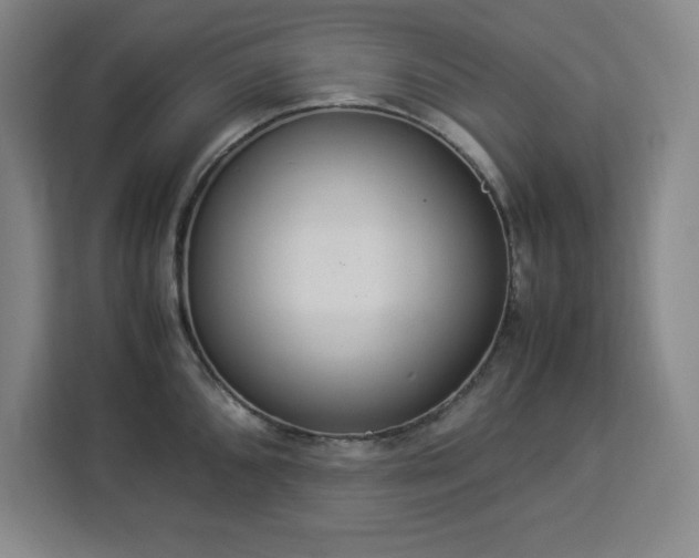 X0000112951096200908311504