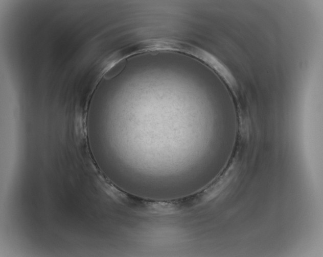 X0000112951097200908311504