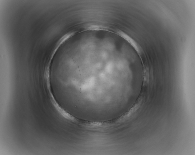 X0000112951098200908311504