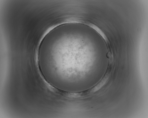 X0000112951101200908311504