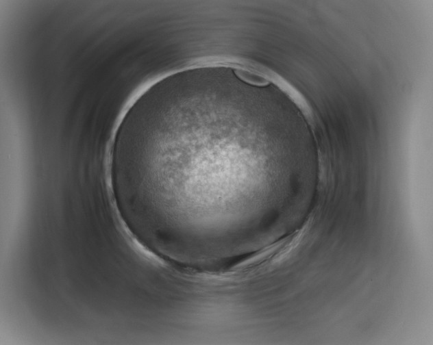 X0000112951102200908311504