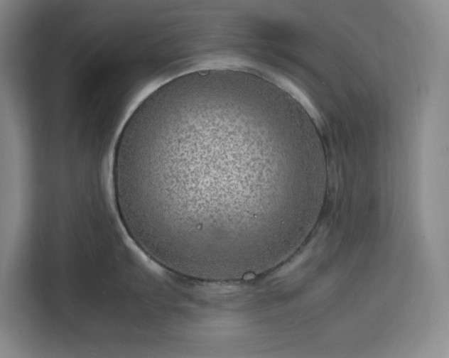 X0000112951103200908311504