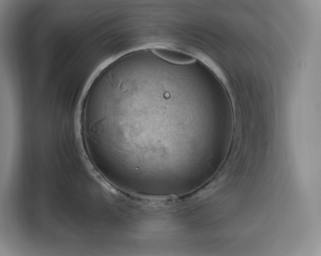 X0000112951104200908311504