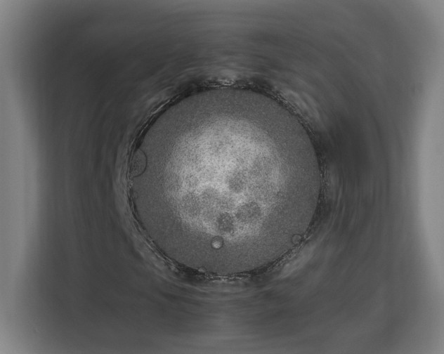 X0000112951105200908311503