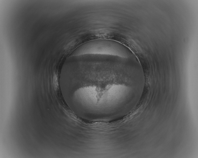 X0000112951106200908311503