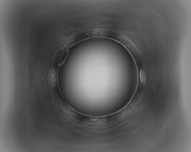 X0000112951107200908311503