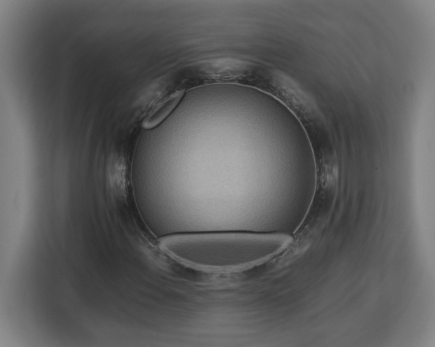 X0000112951108200908311503