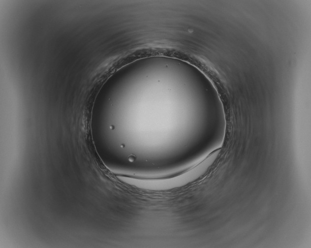 X0000112951110200908311503