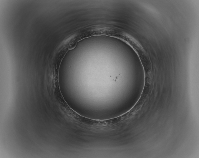 X0000112951111200908311503