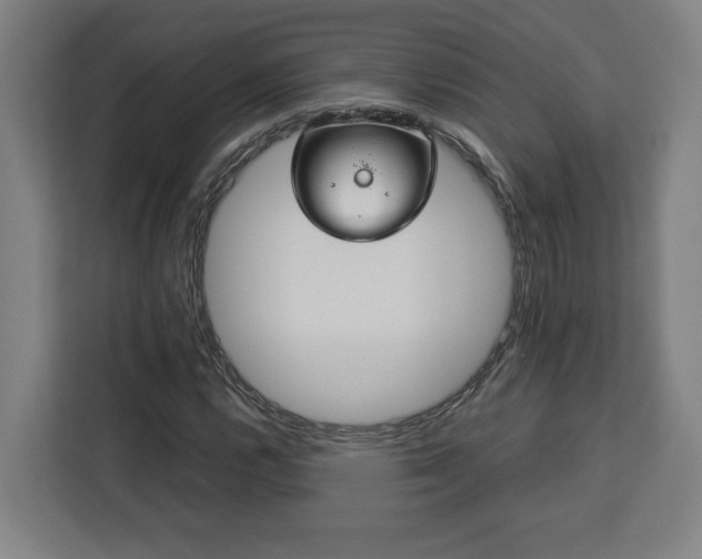 X0000112951112200908311503