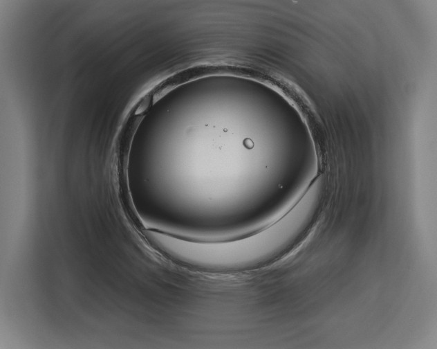 X0000112951114200908311503