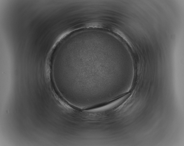 X0000112951115200908311503