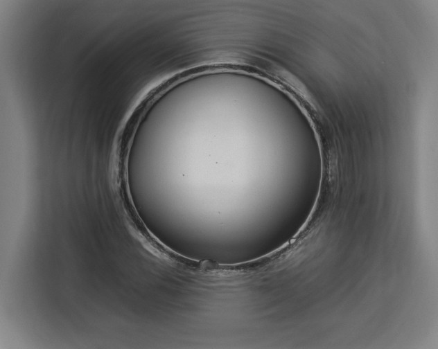 X0000112951116200908311503