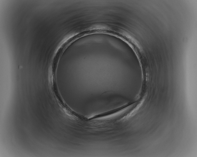 X0000112951117200908311503