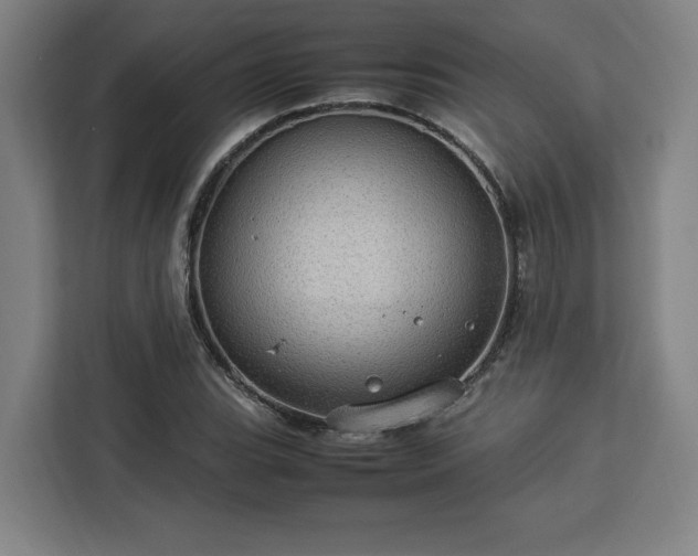 X0000112951119200908311504