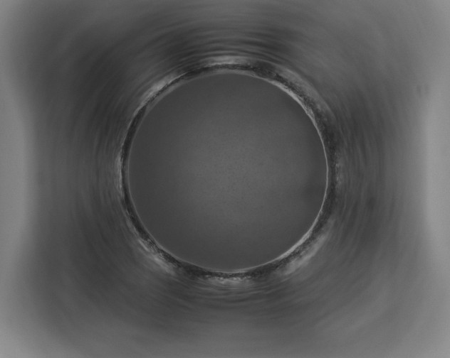 X0000112951121200908311504