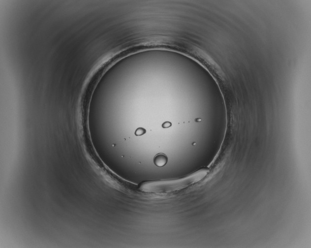 X0000112951122200908311504