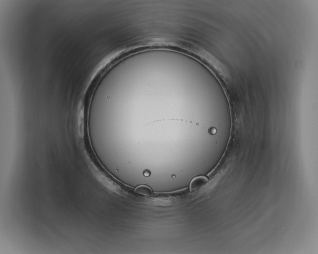 X0000112951126200908311504