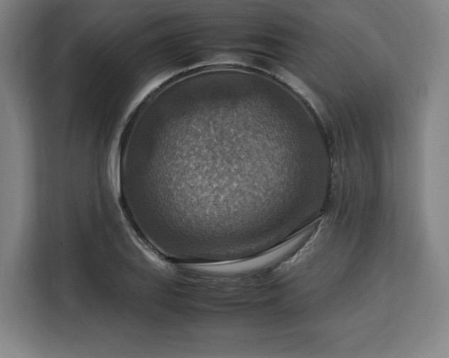 X0000112951127200908311504