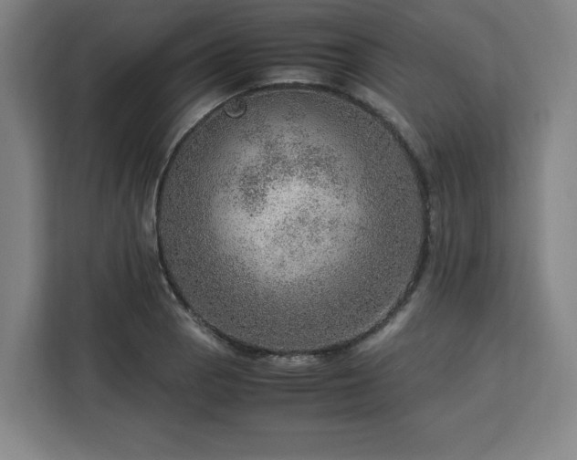 X0000112951129200908311504