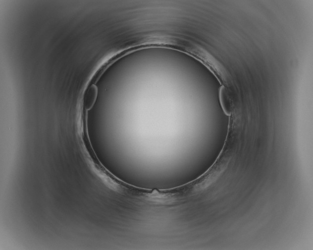 X0000112951132200908311504