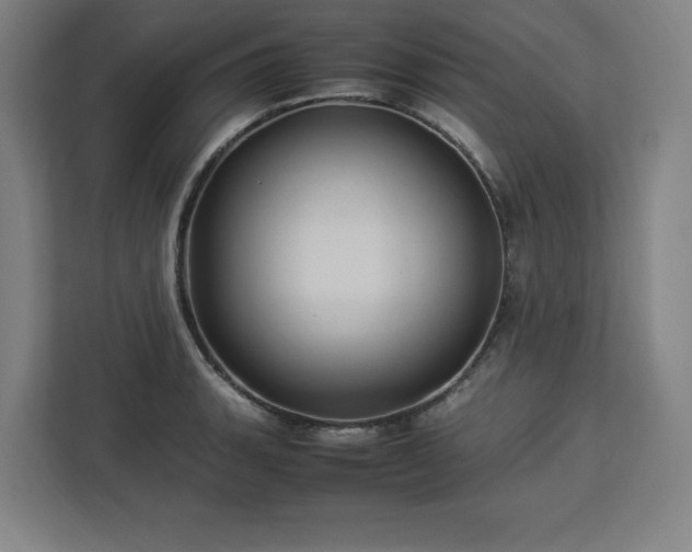 X0000112951135200908311504