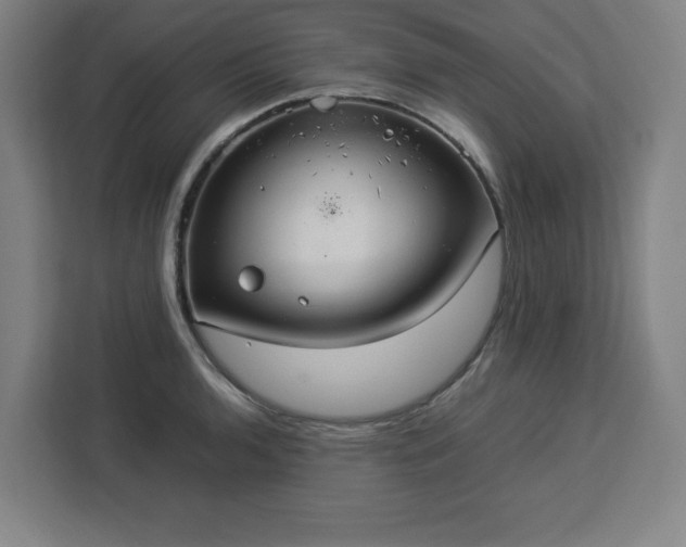 X0000112951136200908311504