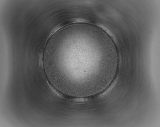 X0000112951137200908311504