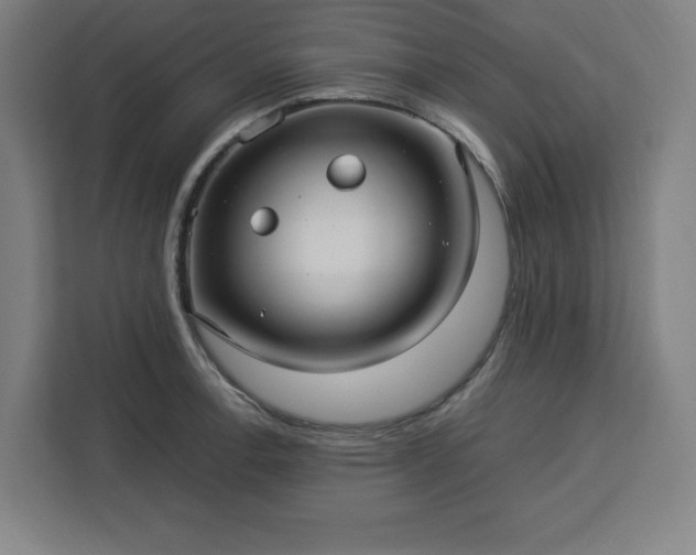 X0000112951138200908311504