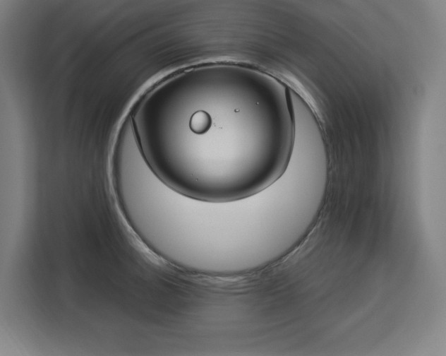 X0000112951140200908311504