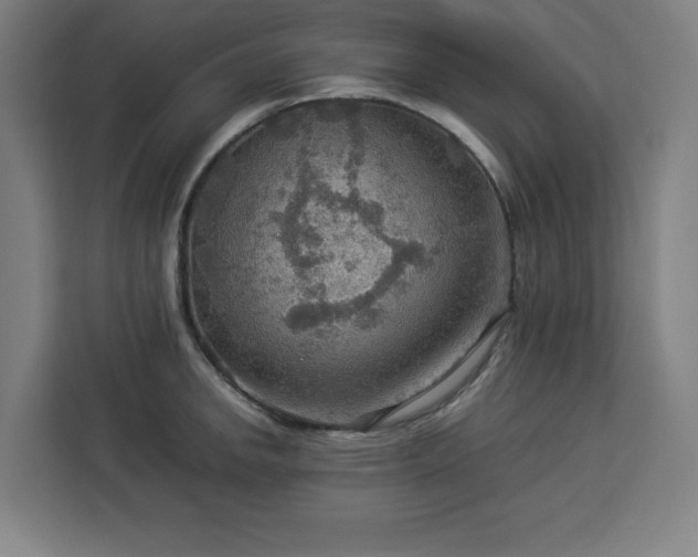 X0000112951142200908311504