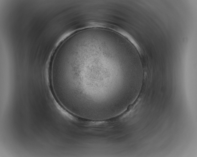 X0000112951143200908311504