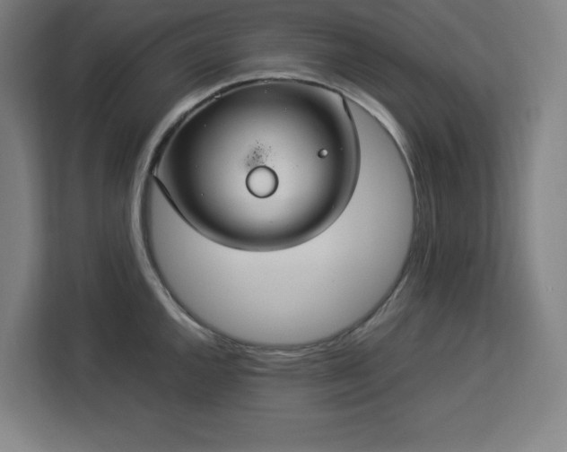 X0000112951144200908311504