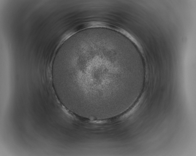 X0000112951145200908311504