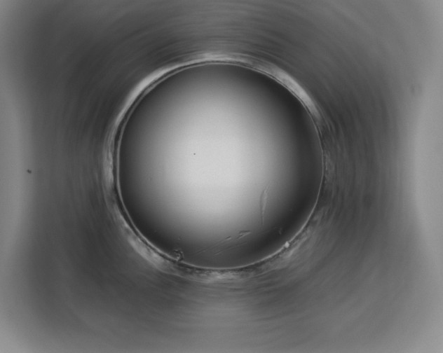 X0000112951148200908311504