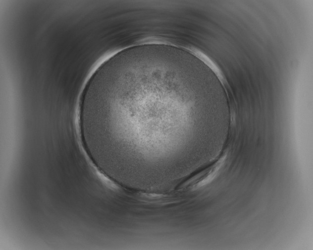 X0000112951149200908311504